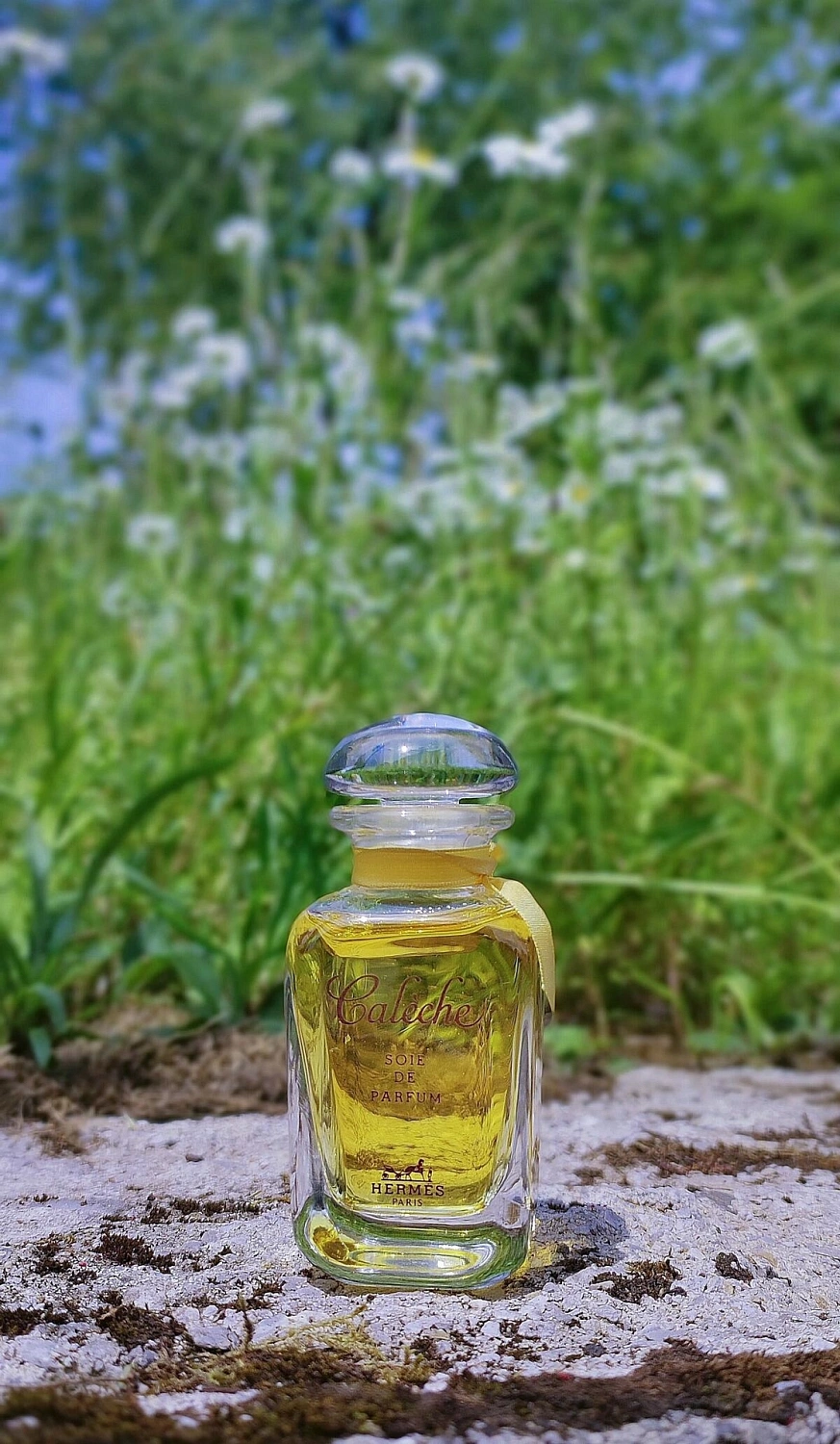 Hermès Caleche Soie de Parfum