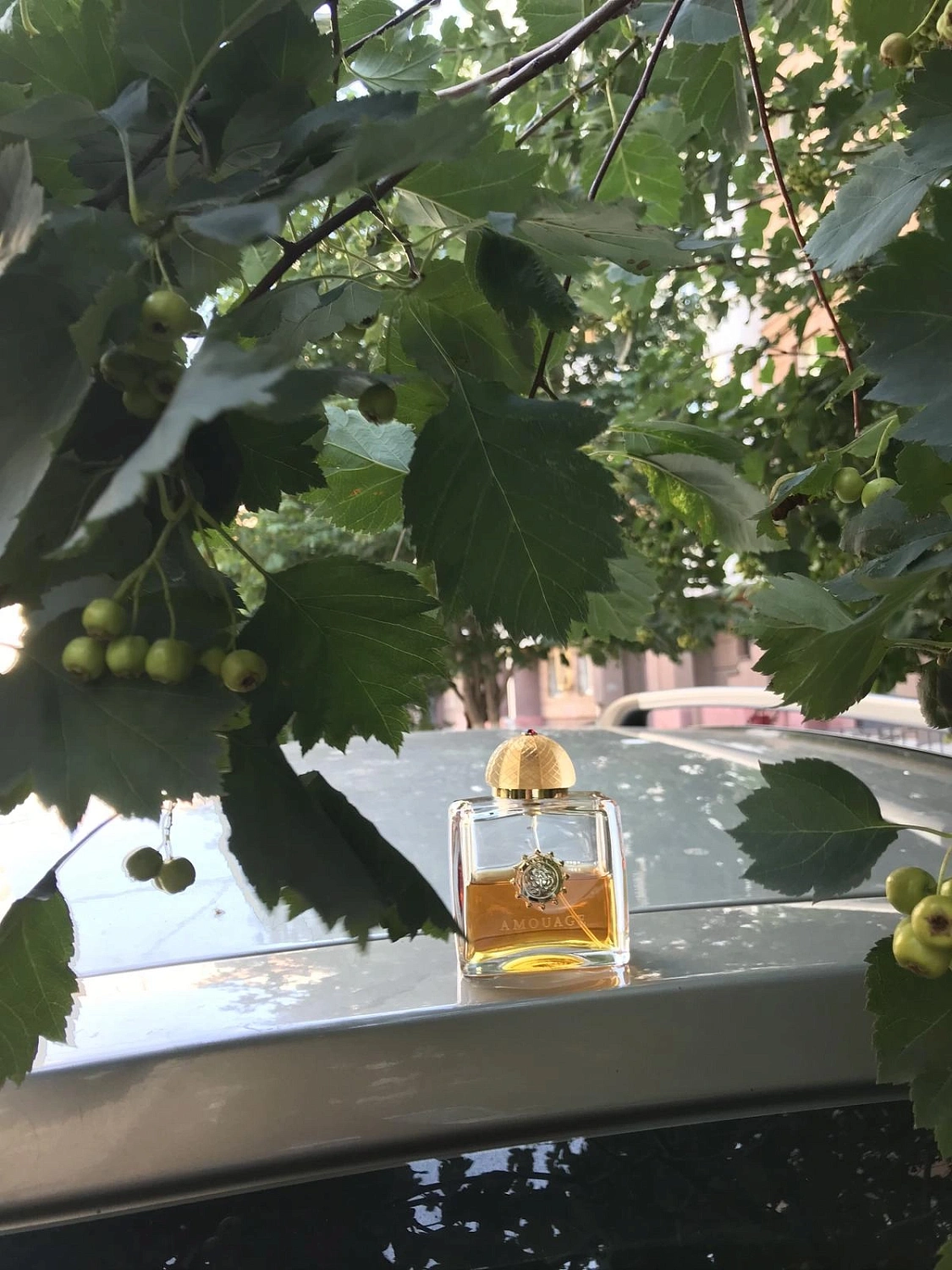 Amouage Jubilation 25 Woman