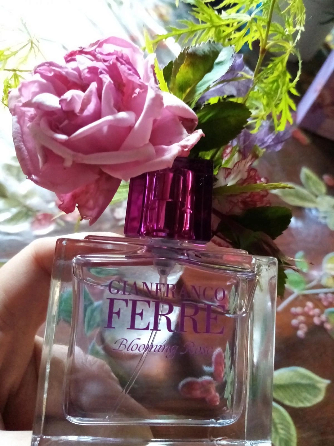 GF Ferré Blooming Rose