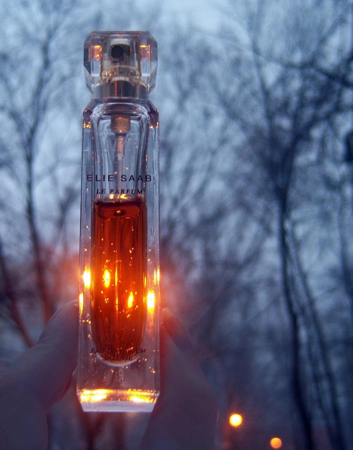 Elie Saab Le Parfum Eau de Parfum Intense