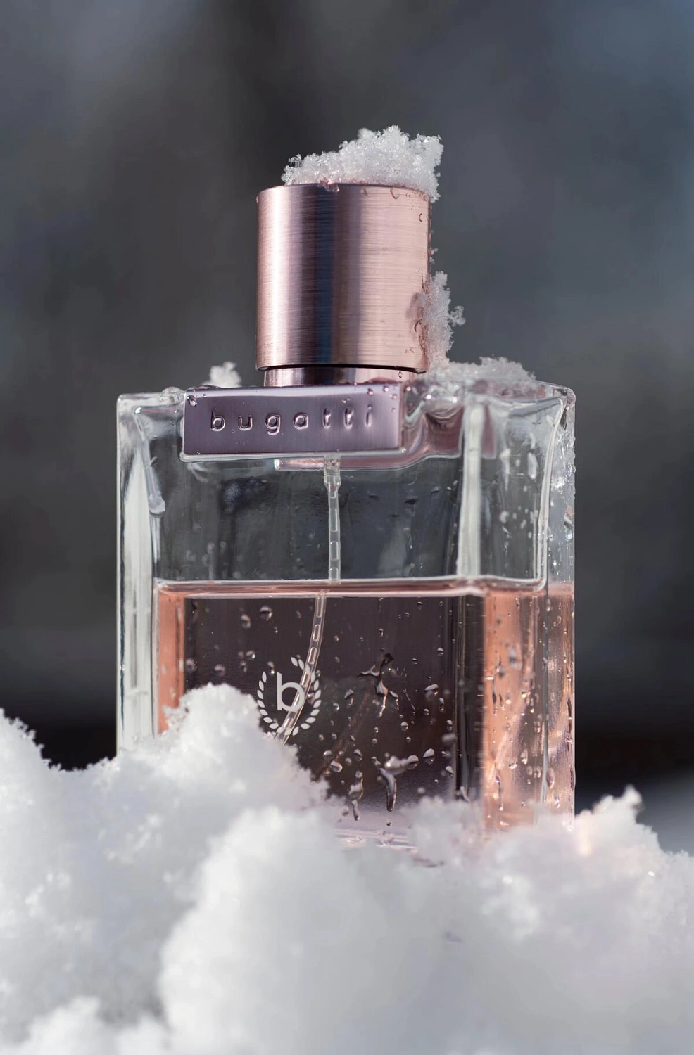 Bugatti Bella Donna