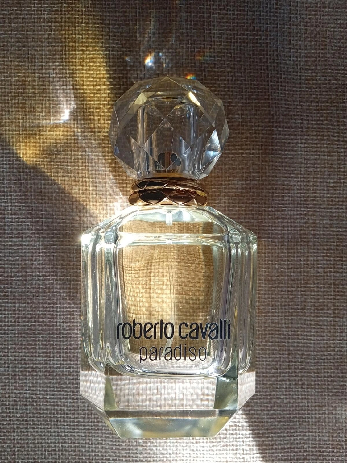 Roberto Cavalli Paradiso