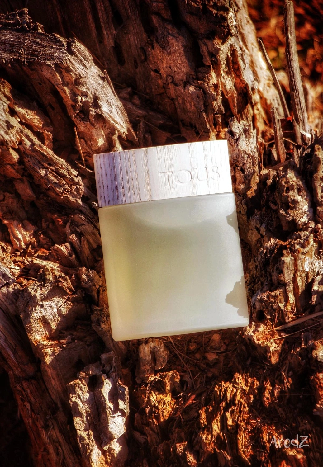 TOUS Man Les Colognes Concentrees