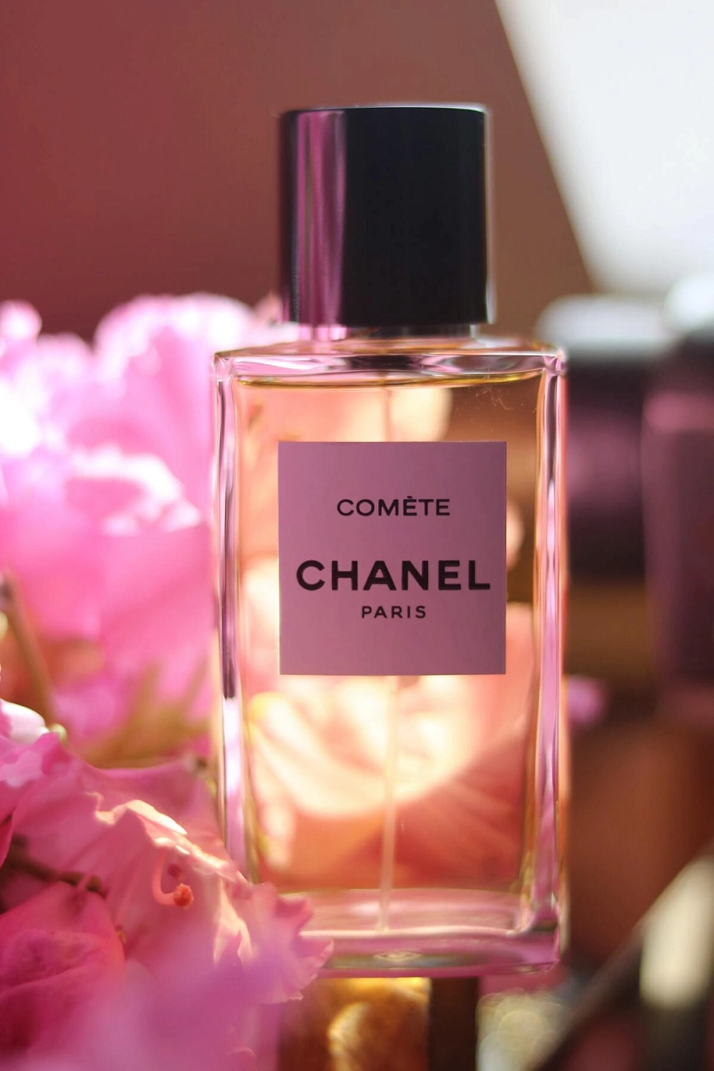 Chanel Comete