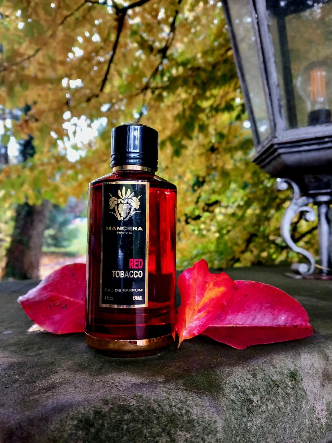 Mancera Red Tobacco