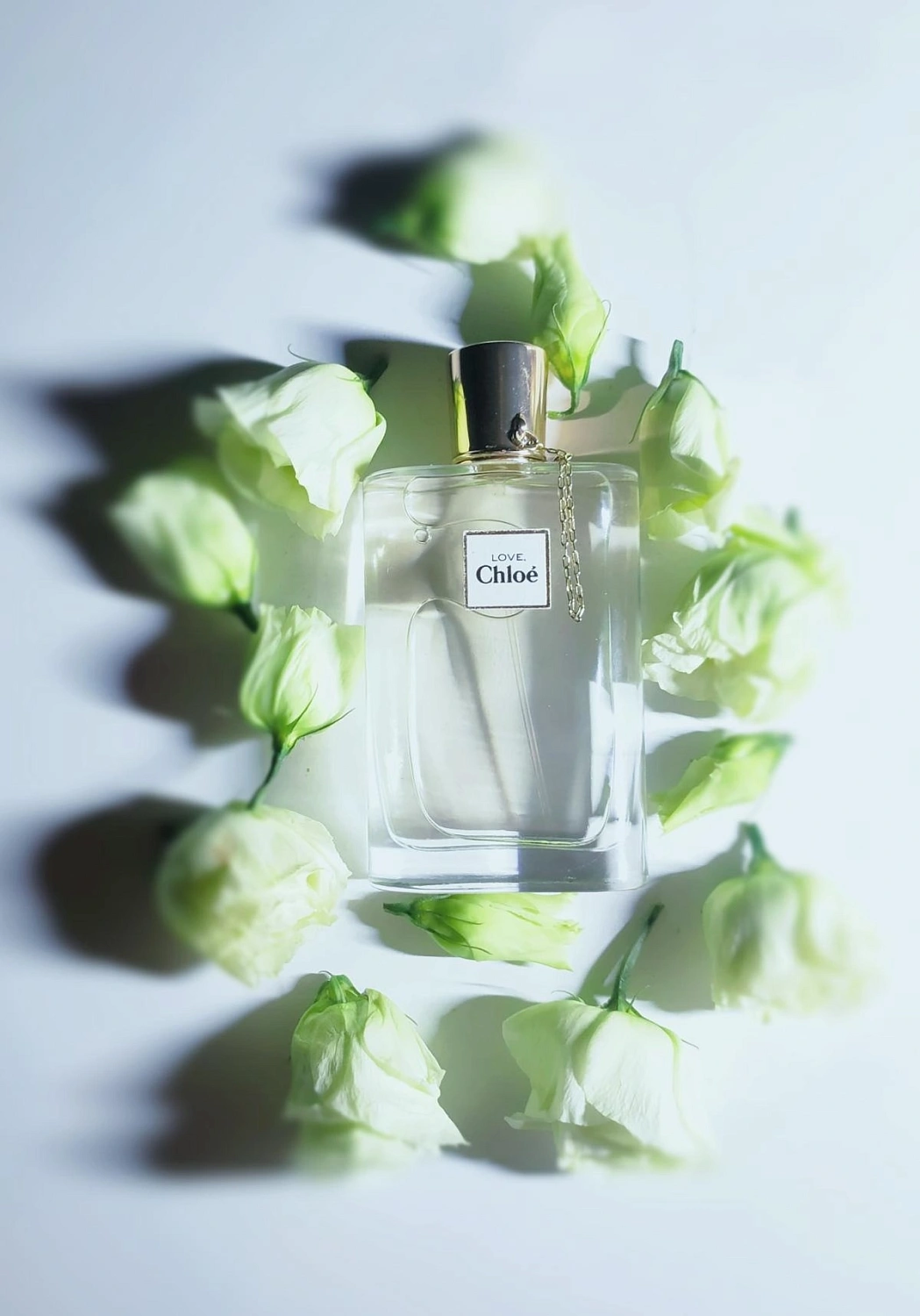 Chloé Love Eau Florale