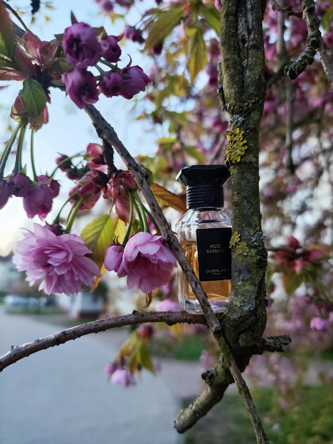 Guerlain Rose Barbare