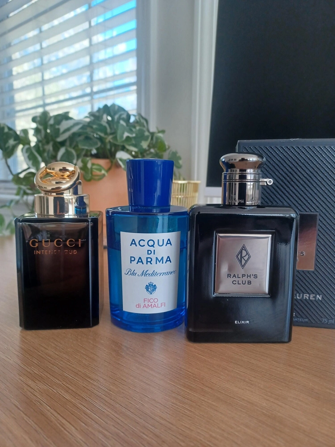 Gucci Intense Oud