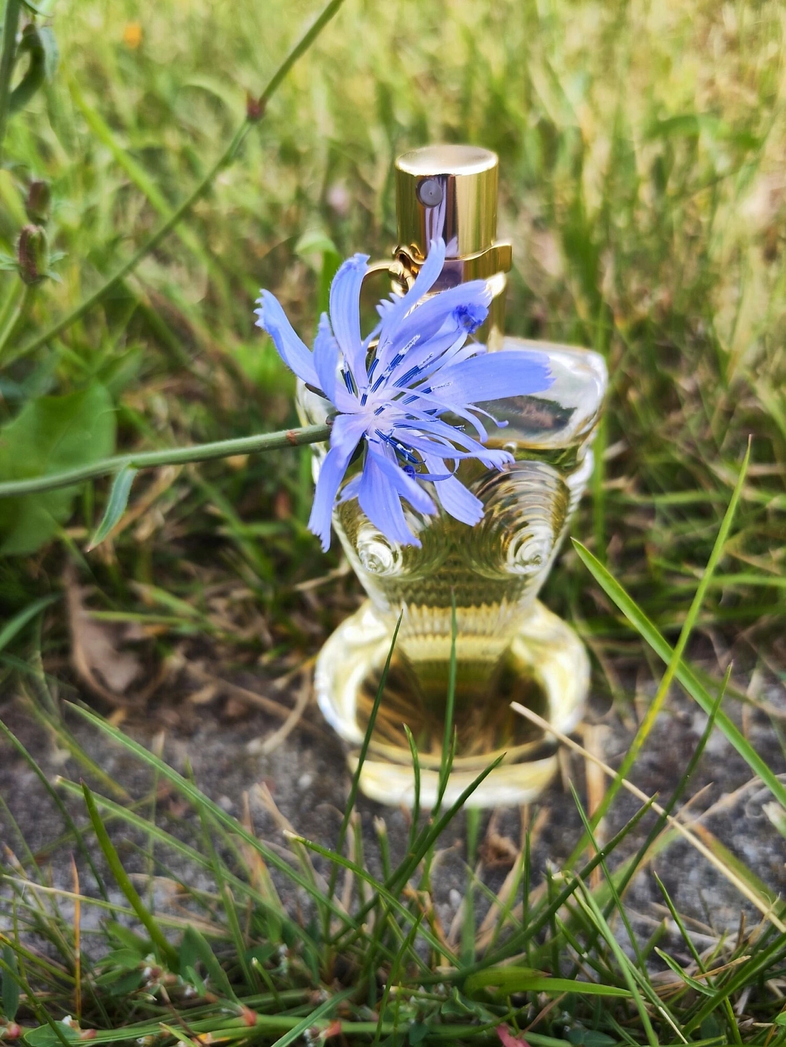 Jean Paul Gaultier Divine