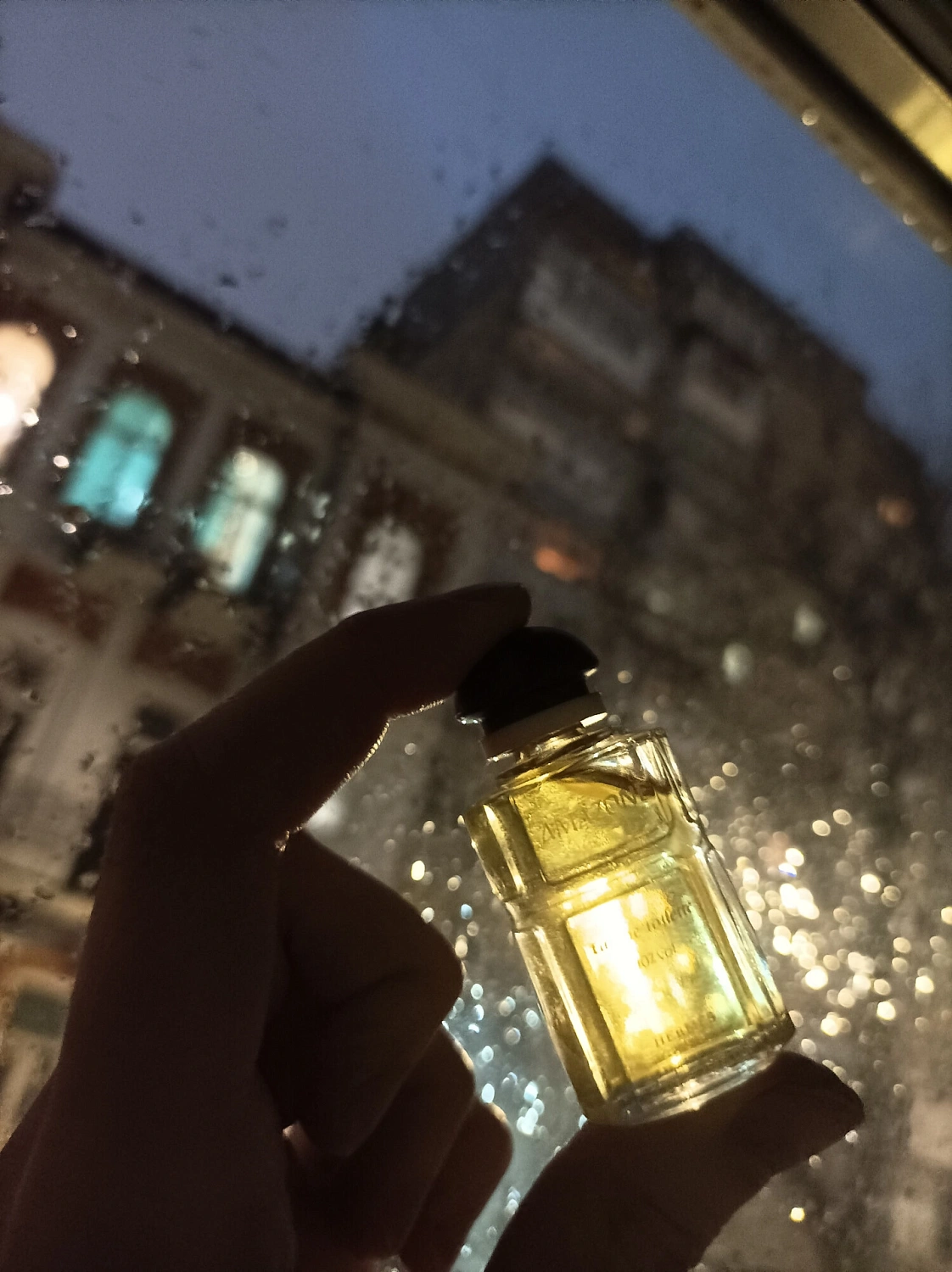 Hermès Amazone