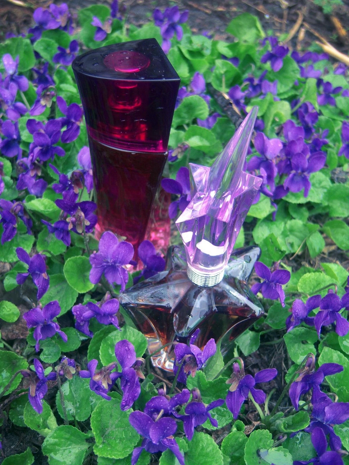 Mugler Angel Garden Of Stars - Violette Angel