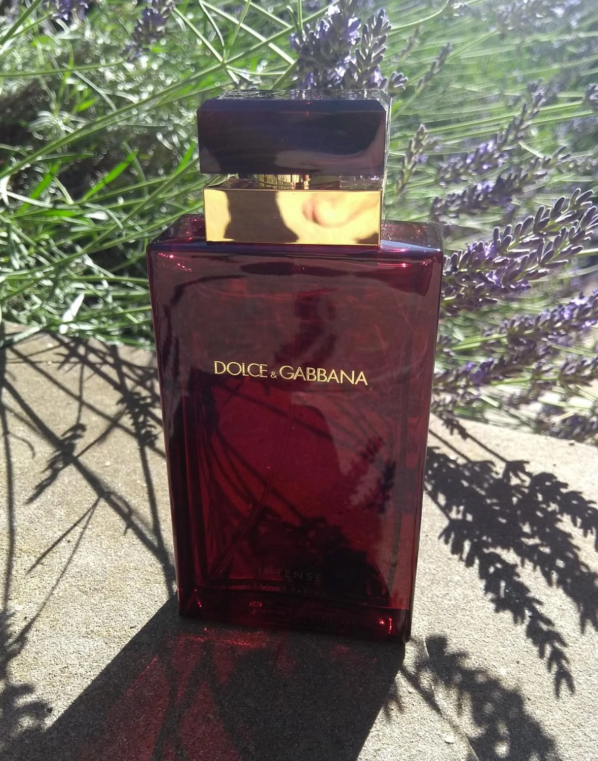 Dolce & Gabbana Dolce&Gabbana Pour Femme Intense