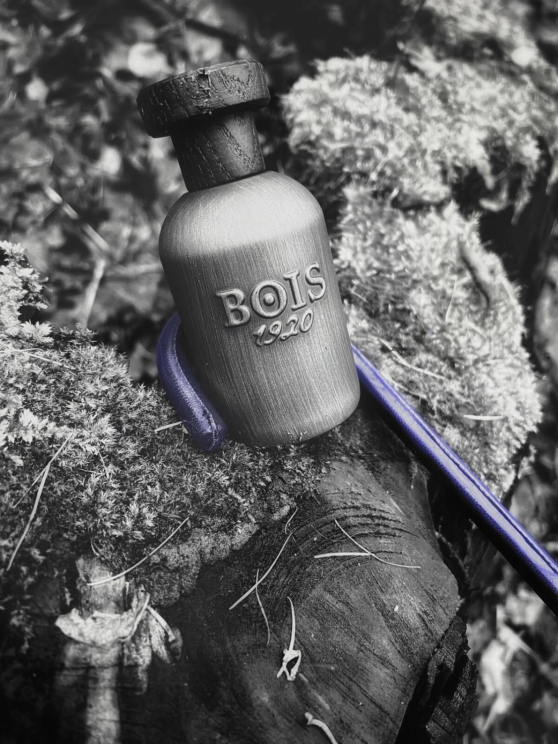 Bois 1920 Scuro