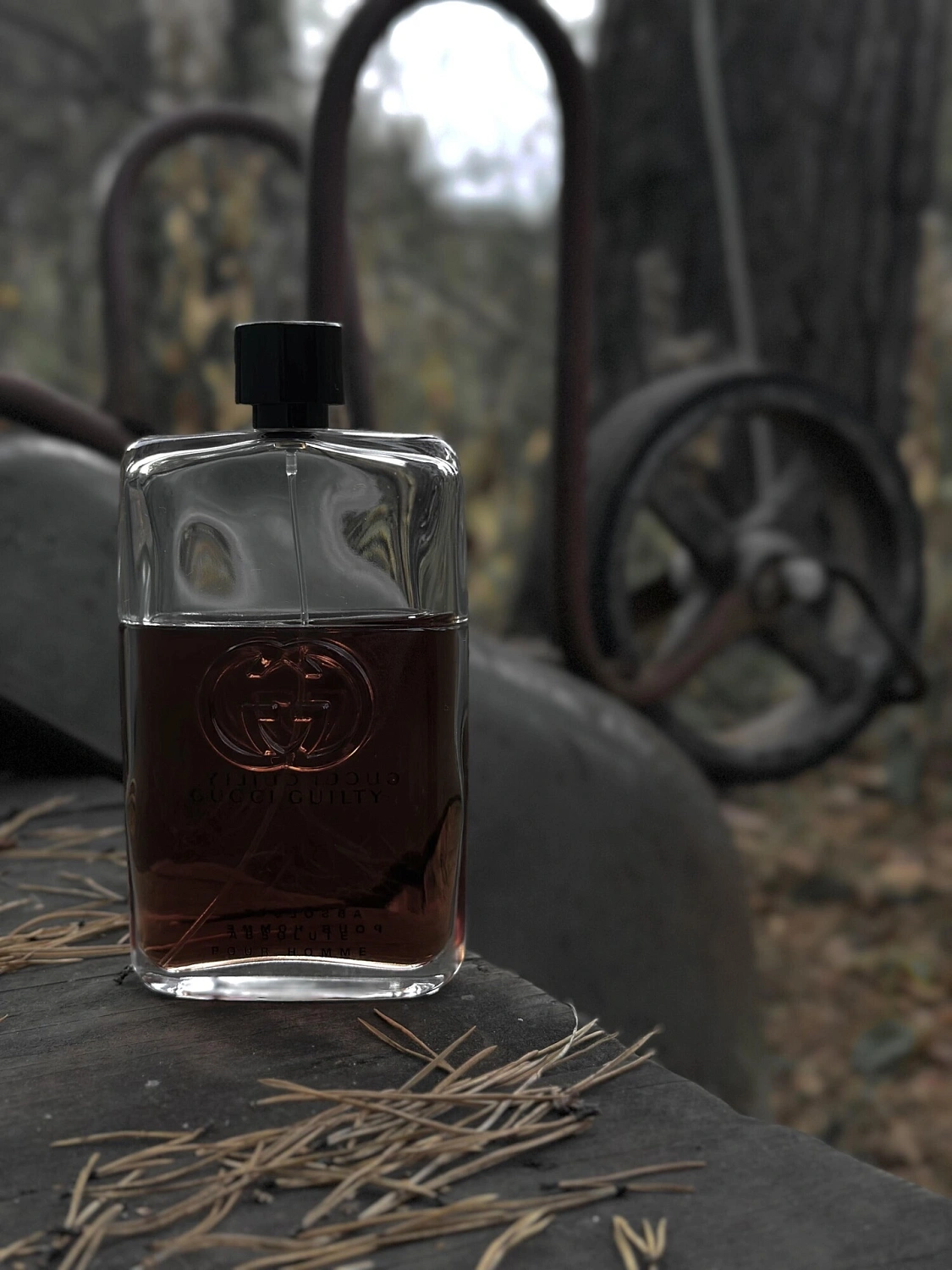 Gucci Guilty Absolute