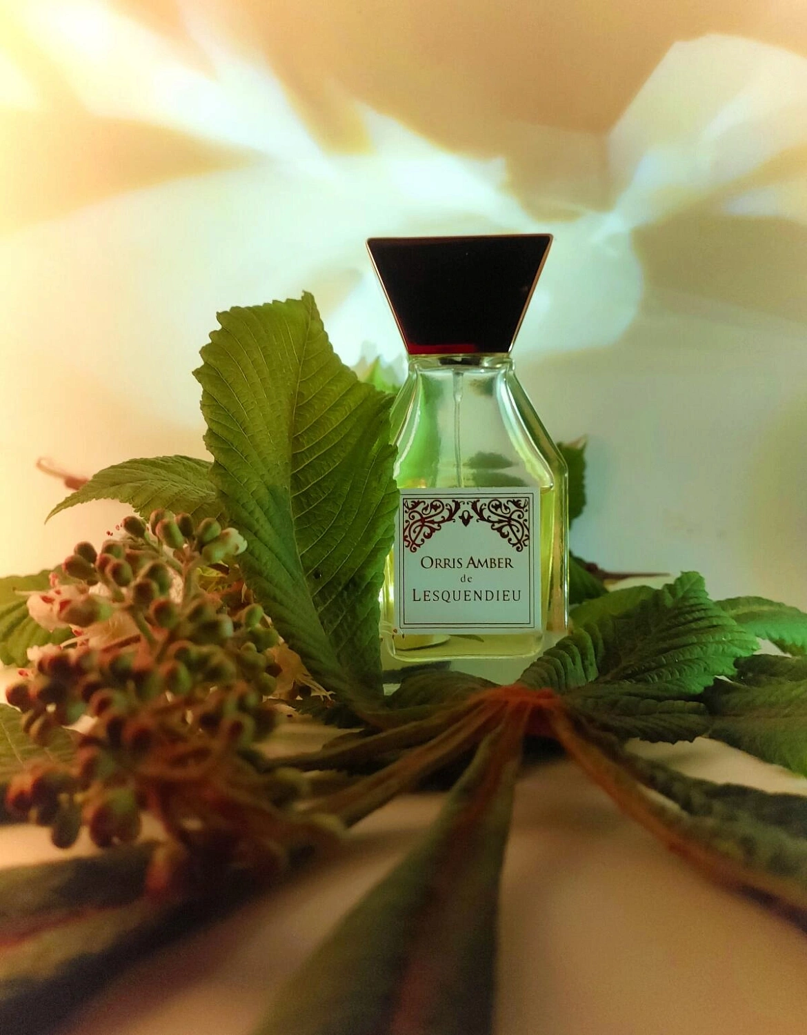 Lesquendieu Le Parfum