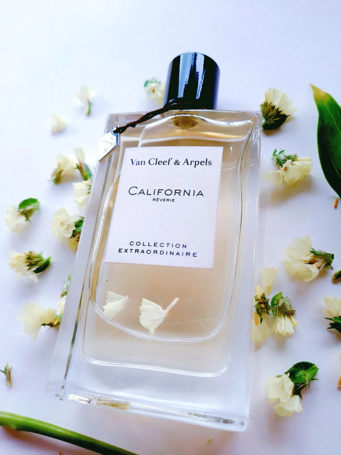 Van Cleef & Arpels Collection Extraordinaire California Reverie