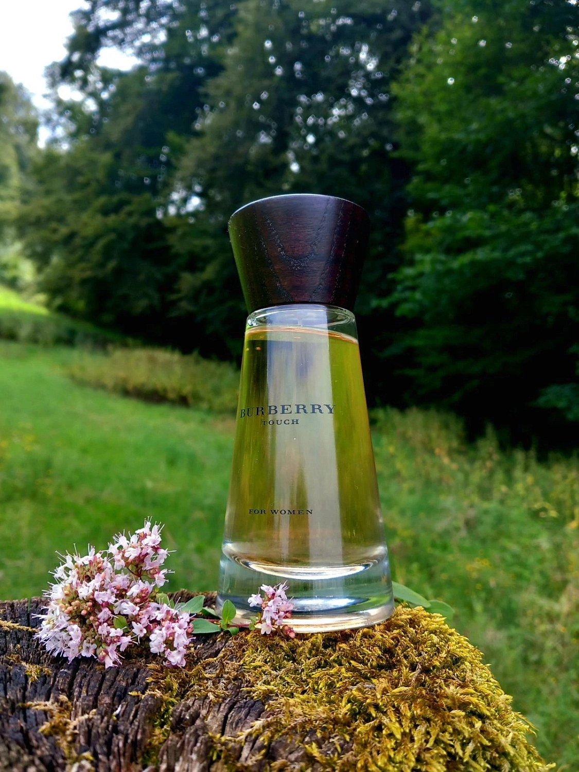 Burberry Touch for Women