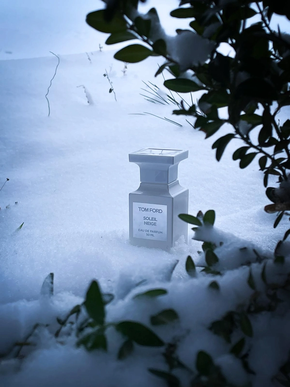 Tom Ford Soleil Neige
