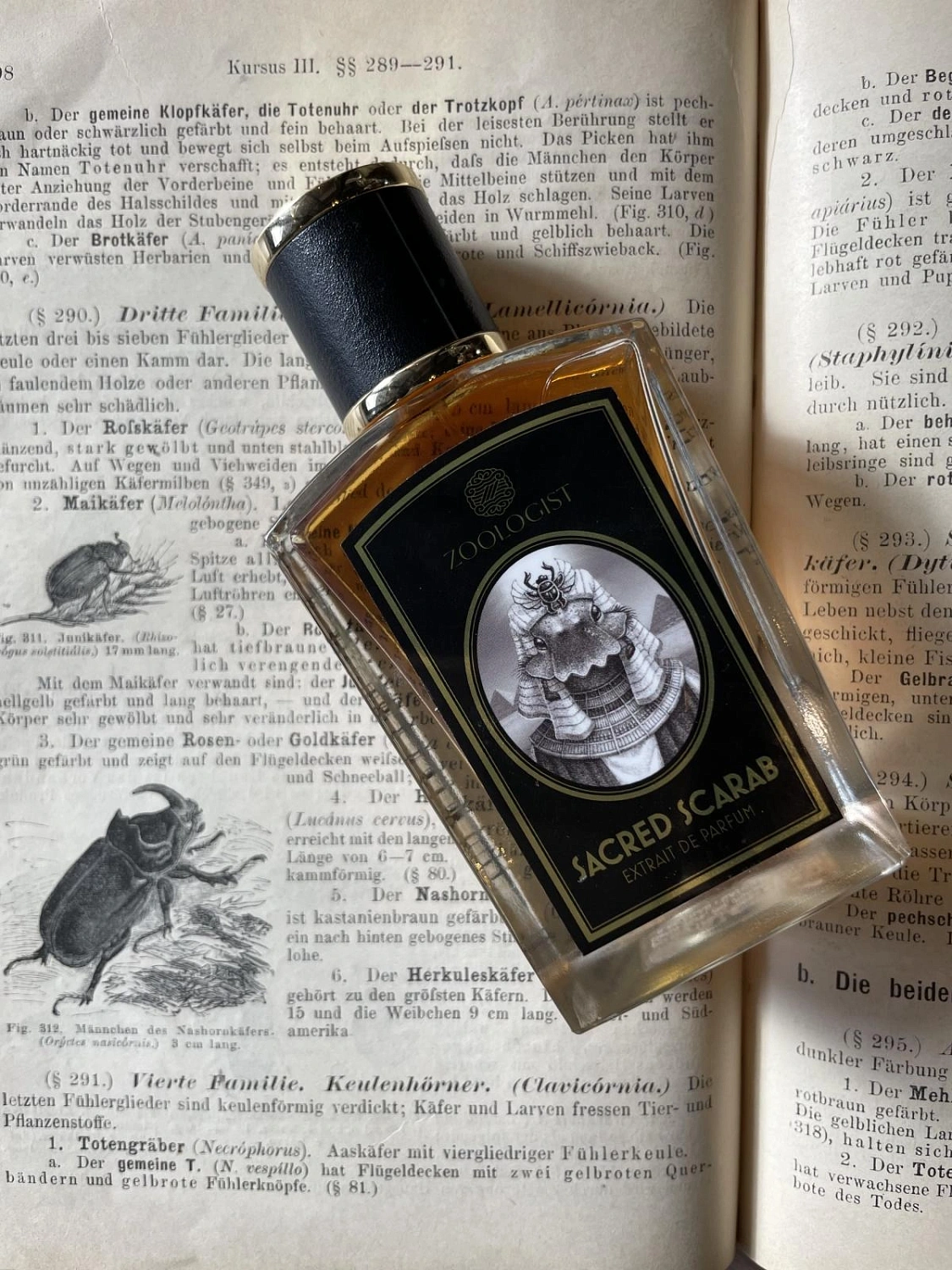 Zoologist Perfumes Sacred Scarab