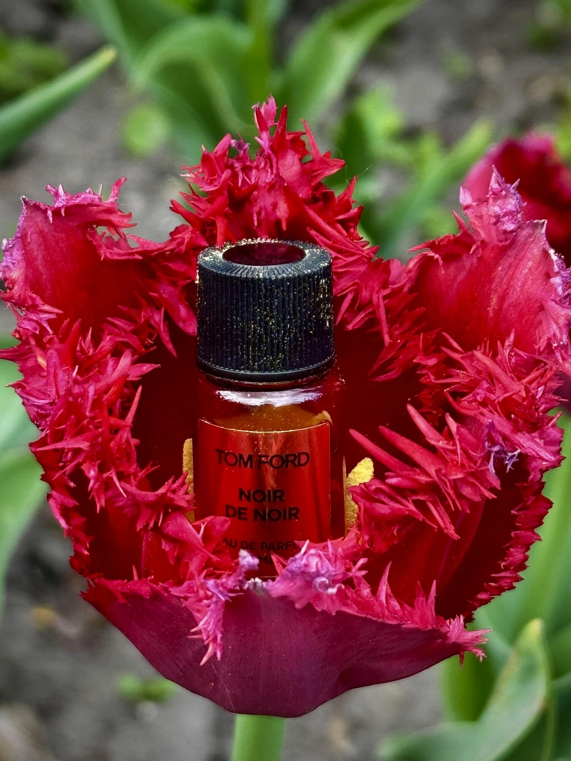 Tom Ford Noir De Noir