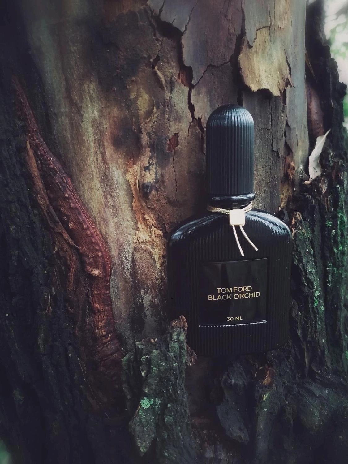 Tom Ford Black Orchid Voile de Fleur
