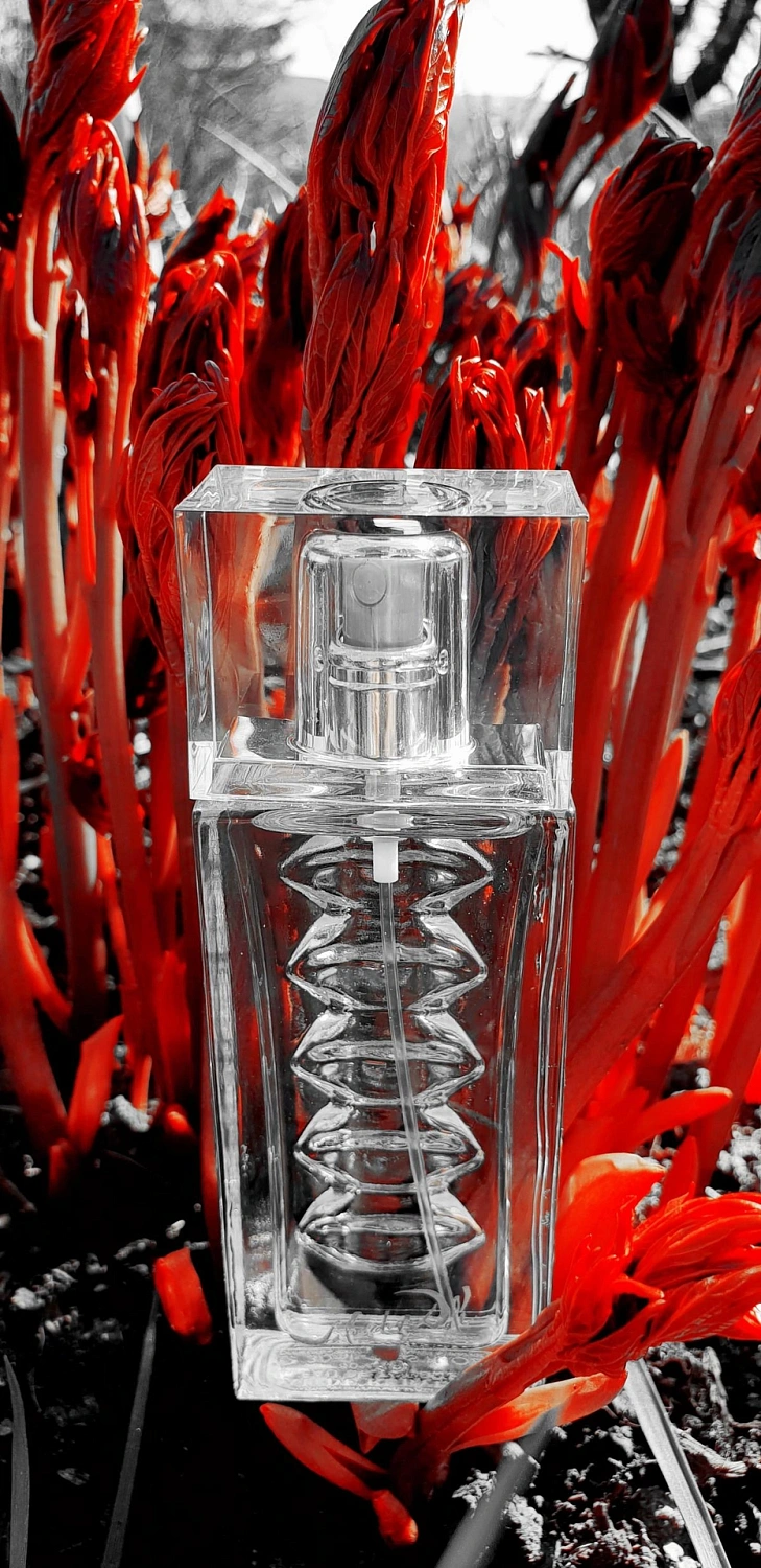 Salvador Dalí Eau de Rubylips