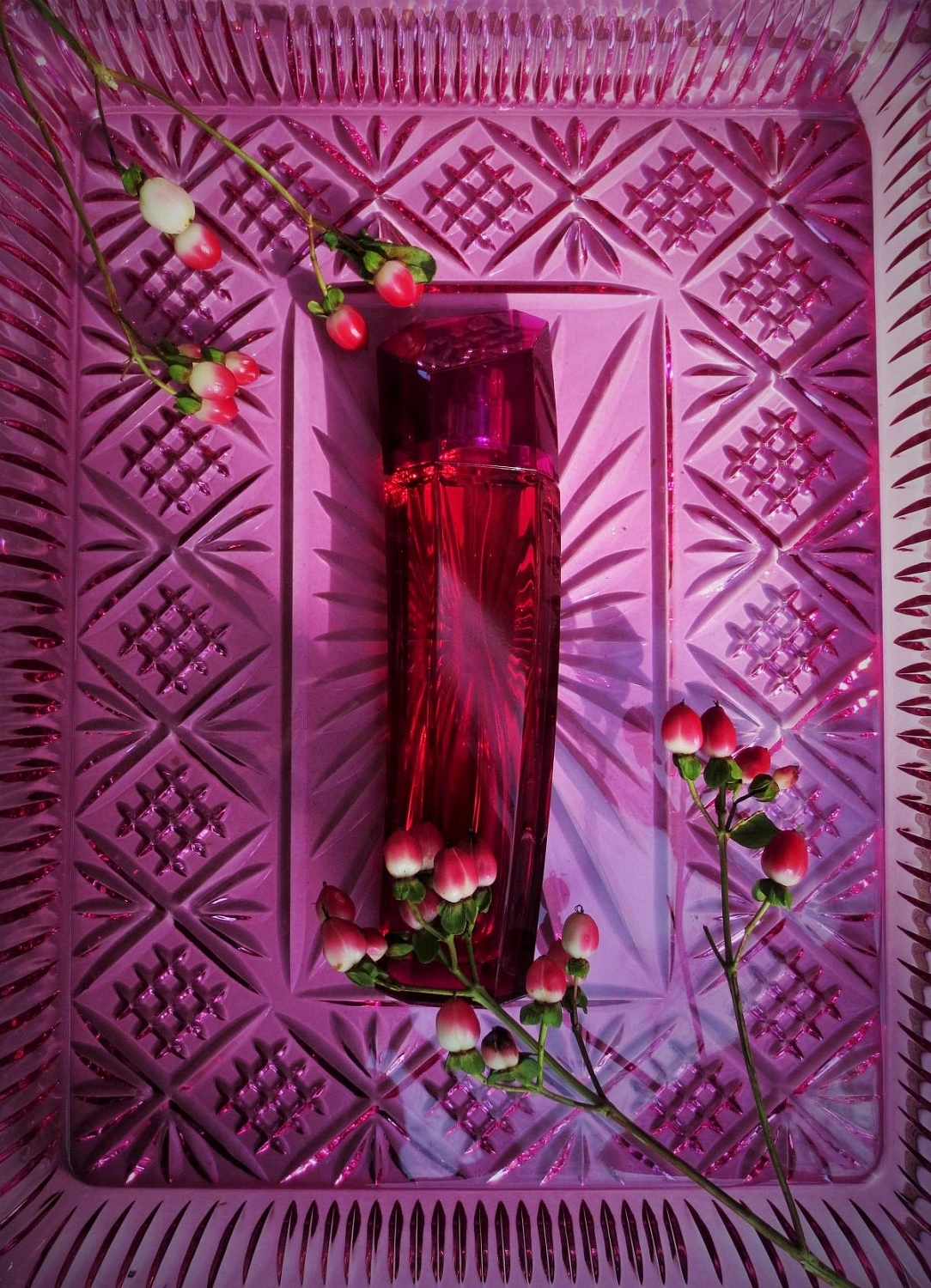 Escada Magnetism