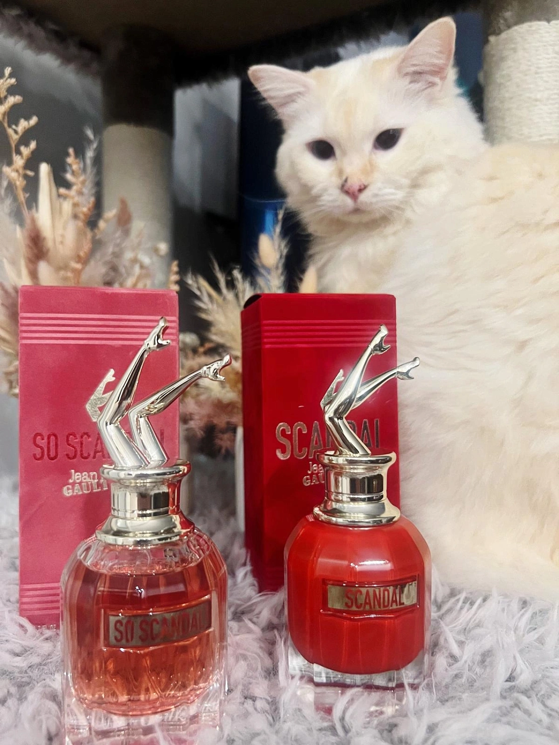Jean Paul Gaultier So Scandal!