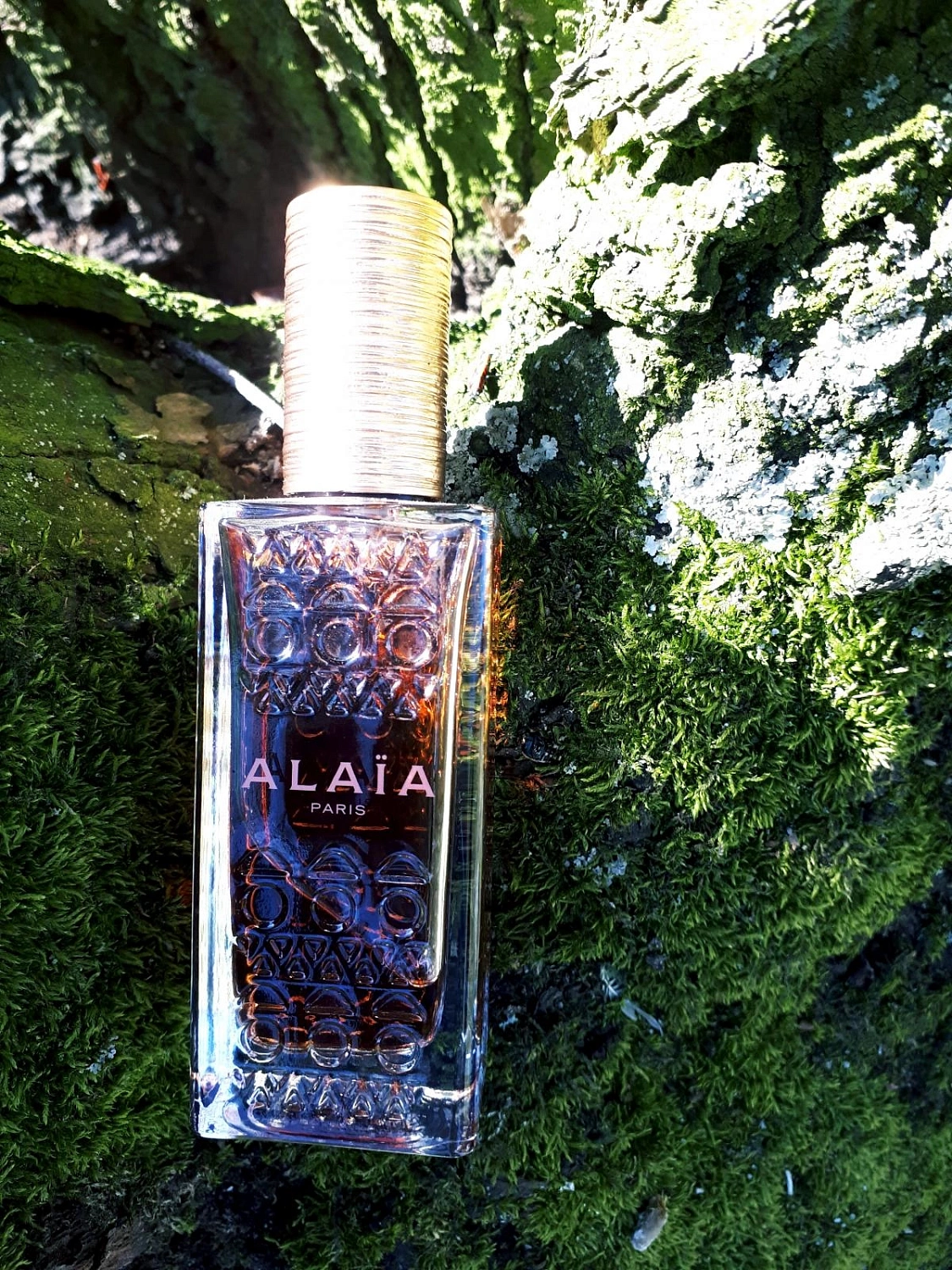 Alaïa Nude