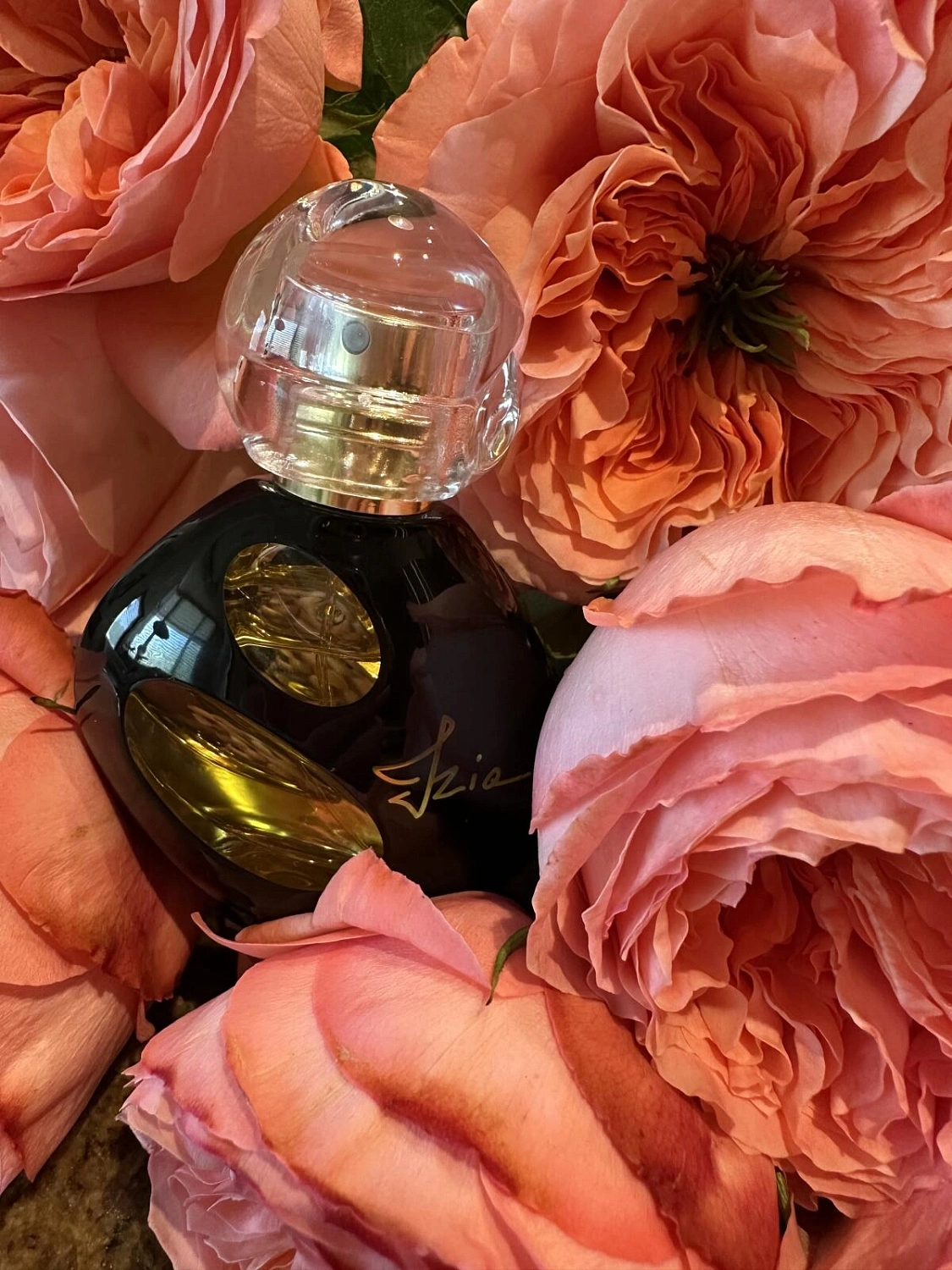 Sisley Izia La Nuit