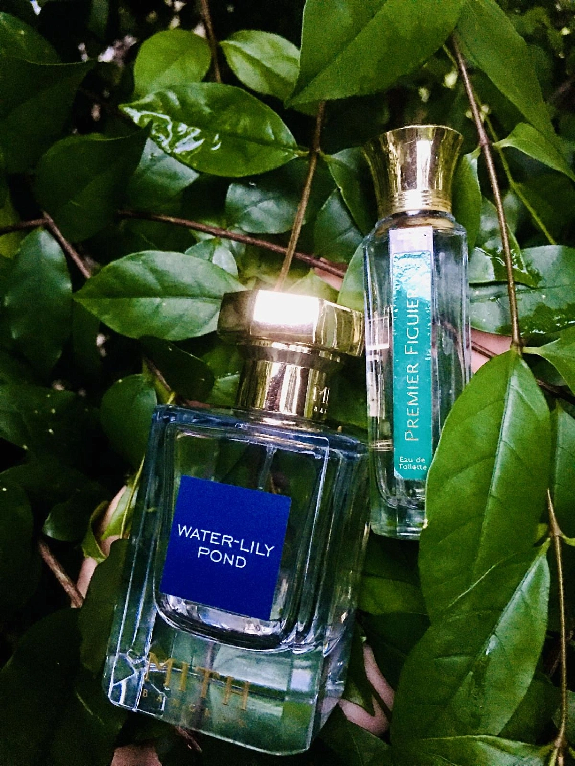 L'Artisan Parfumeur Premier Figuier