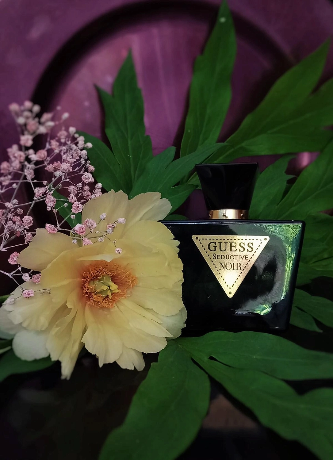 GUESS Seductive Noir