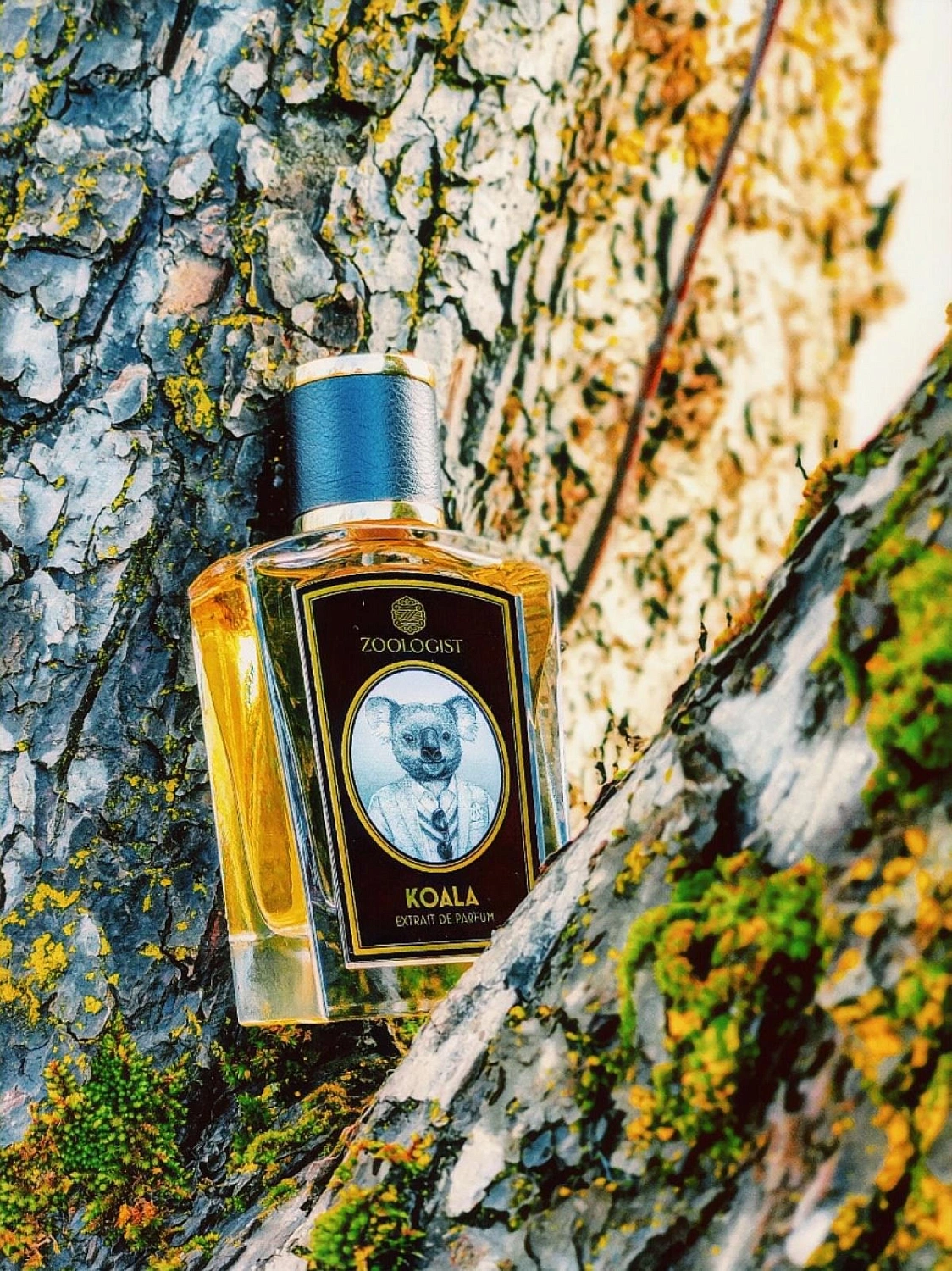 Zoologist Perfumes Koala