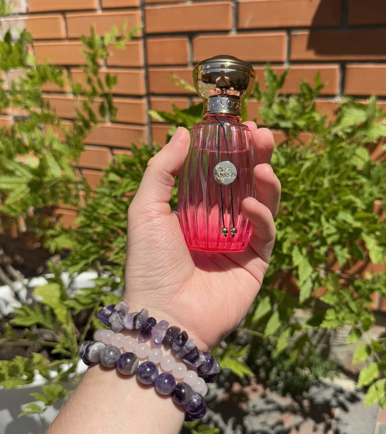 Annick Goutal Rose Pompon