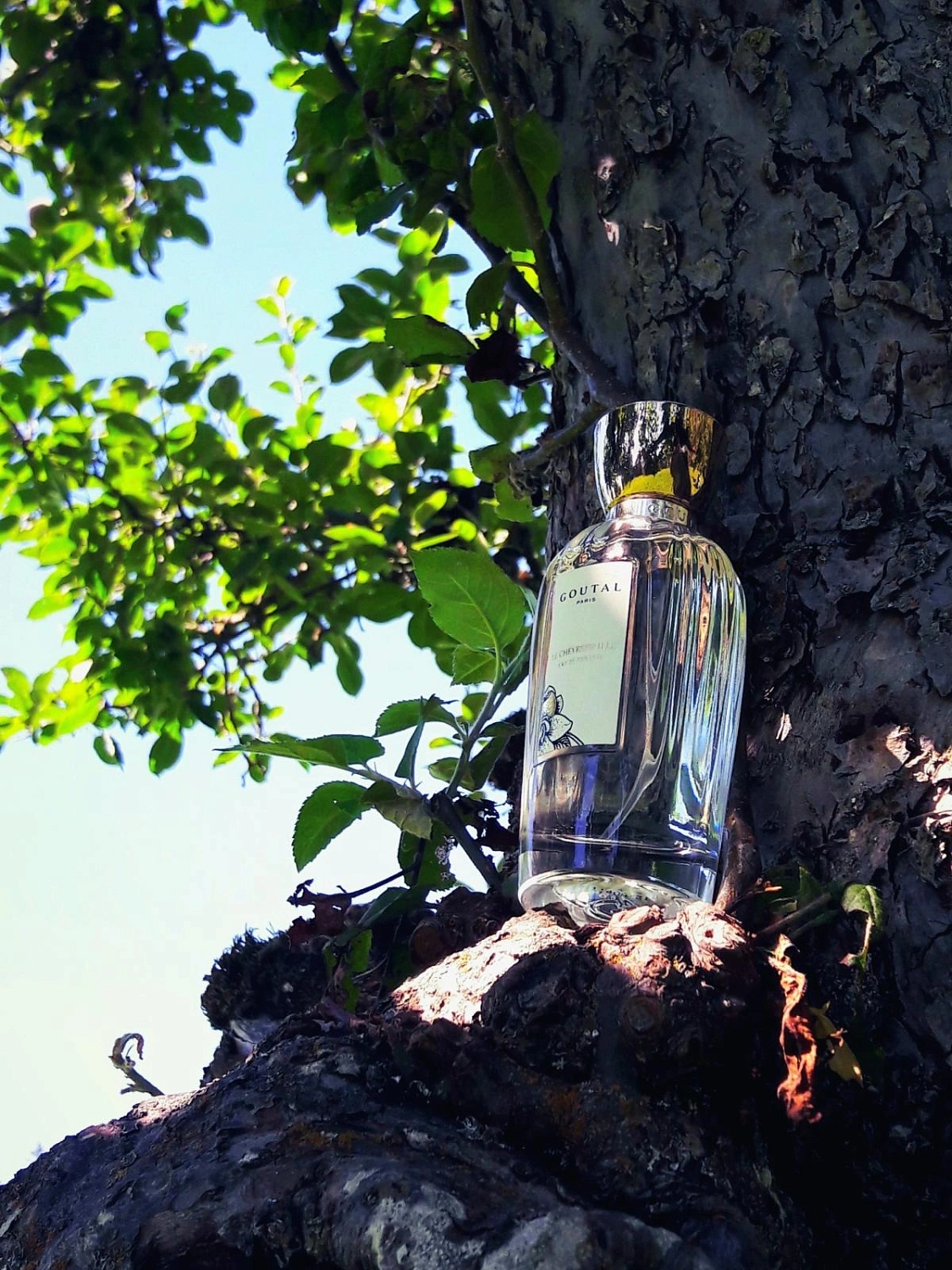 Annick Goutal Le Chevrefeuille