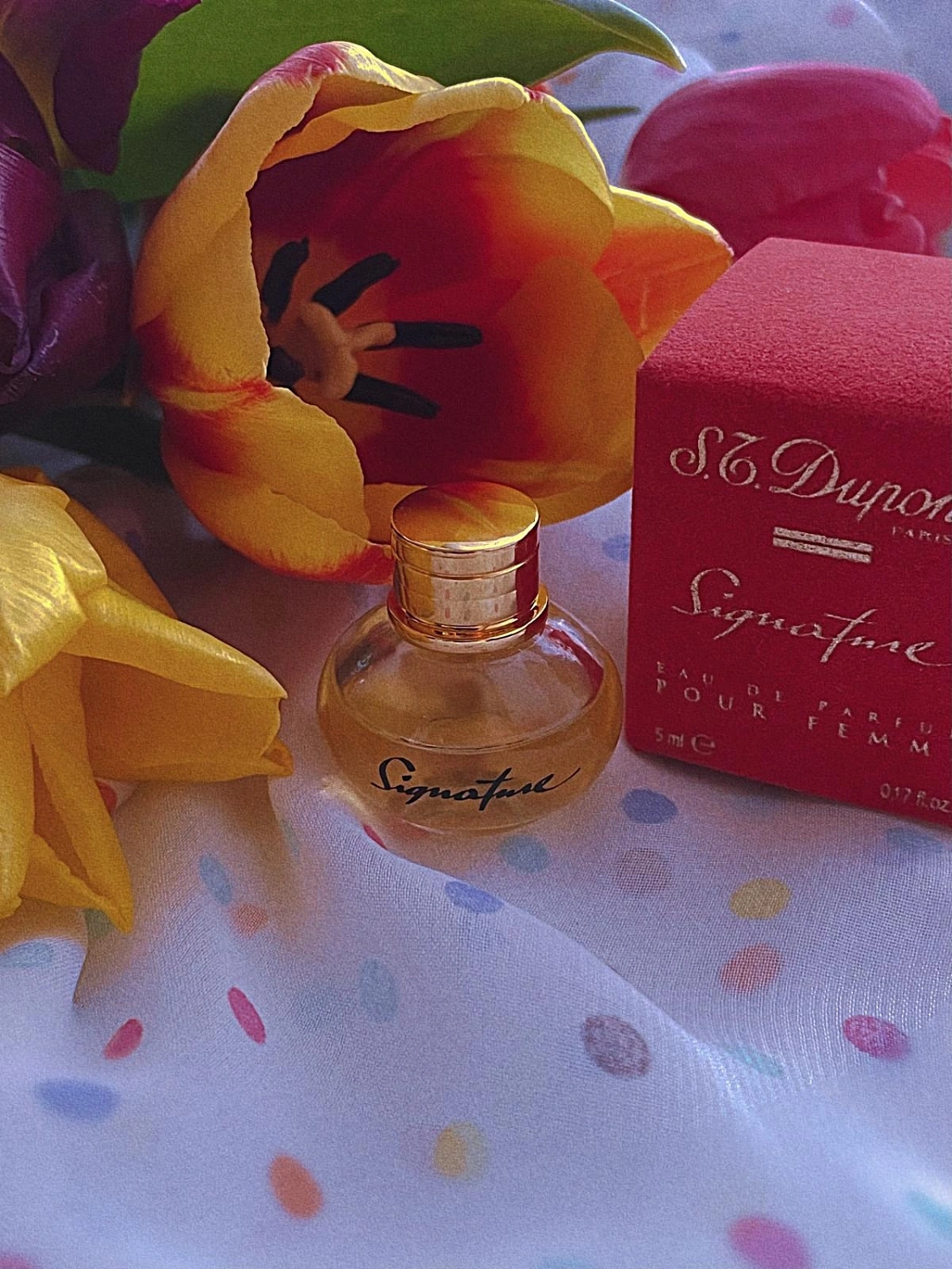 S.T. Dupont Signature