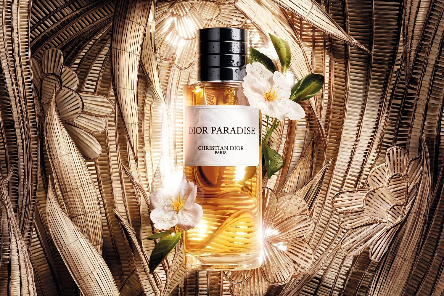 Christian Dior Paradise