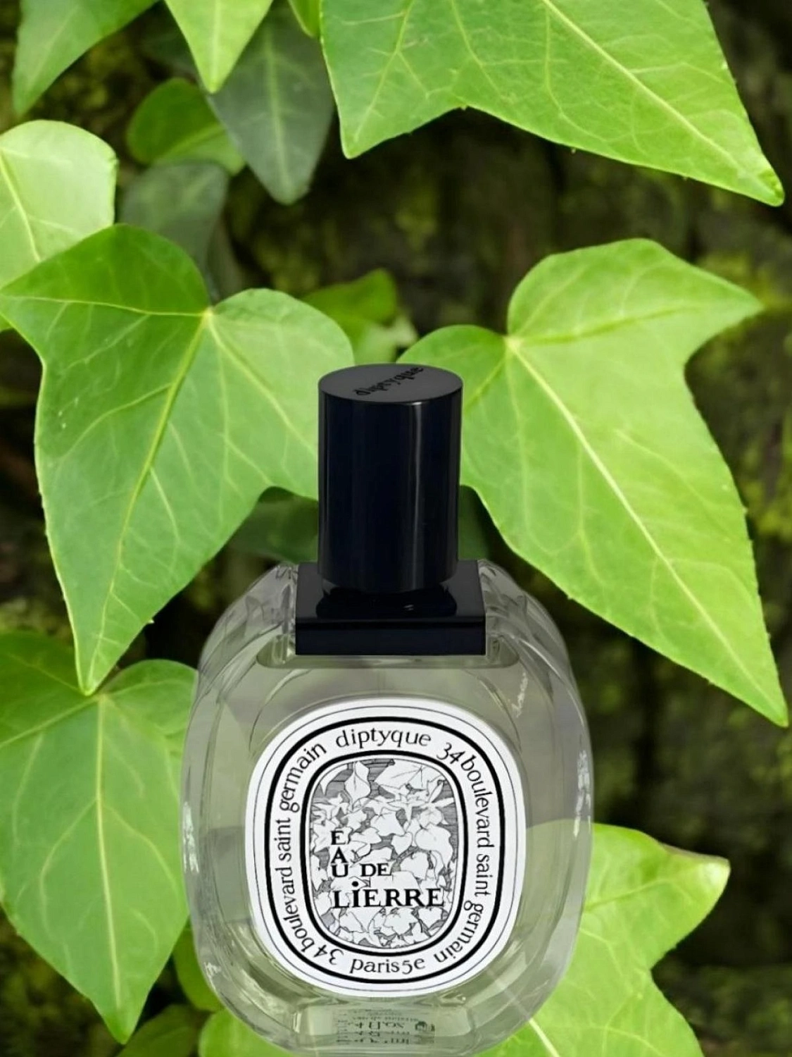 Diptyque L'Eau de Lierre