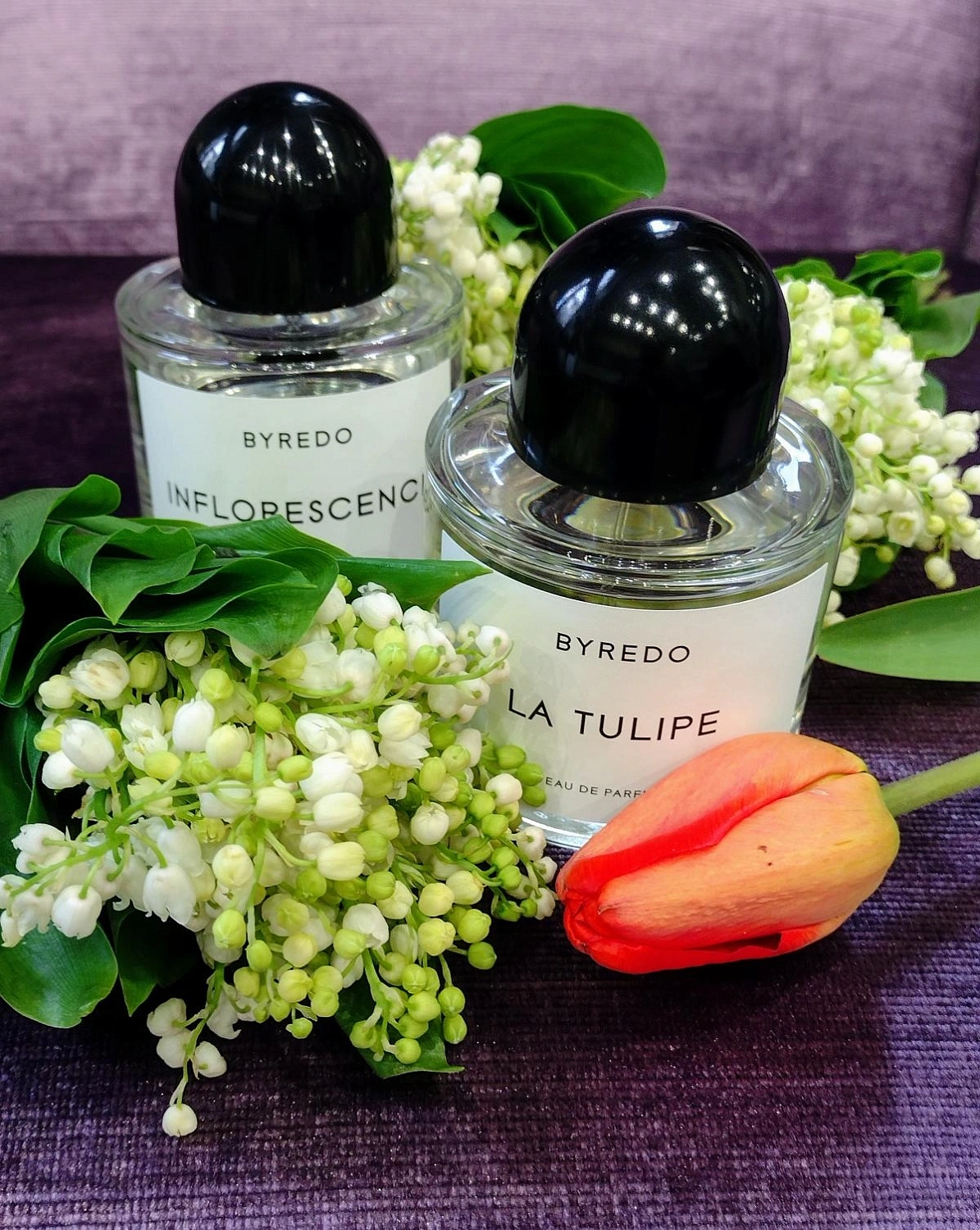 BYREDO Inflorescence