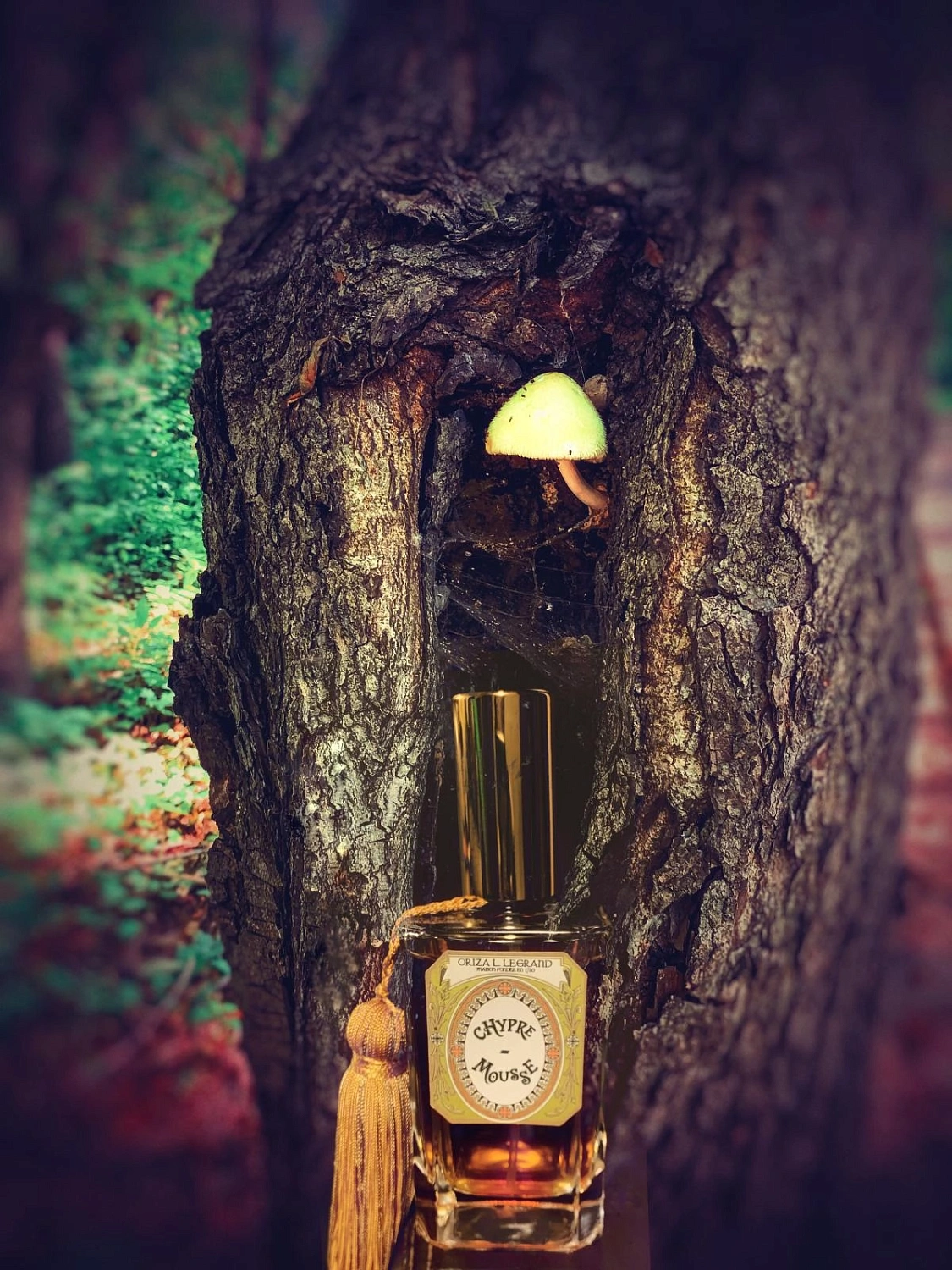 Oriza L. Legrand Chypre Mousse