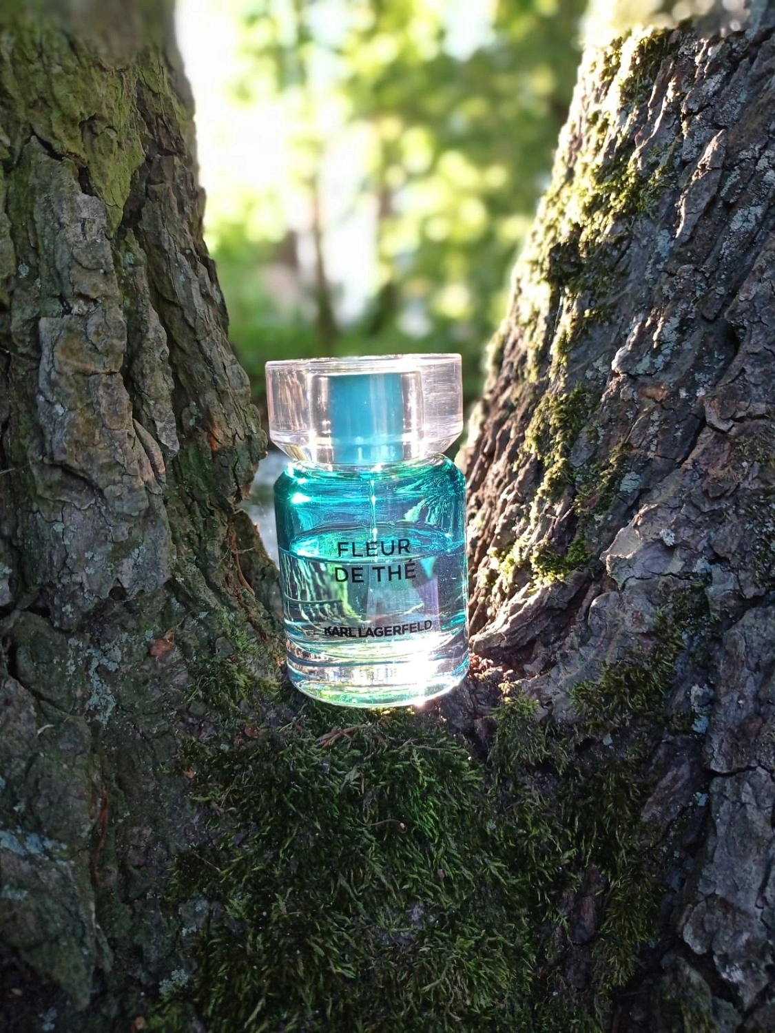 Karl Lagerfeld Fleur De The