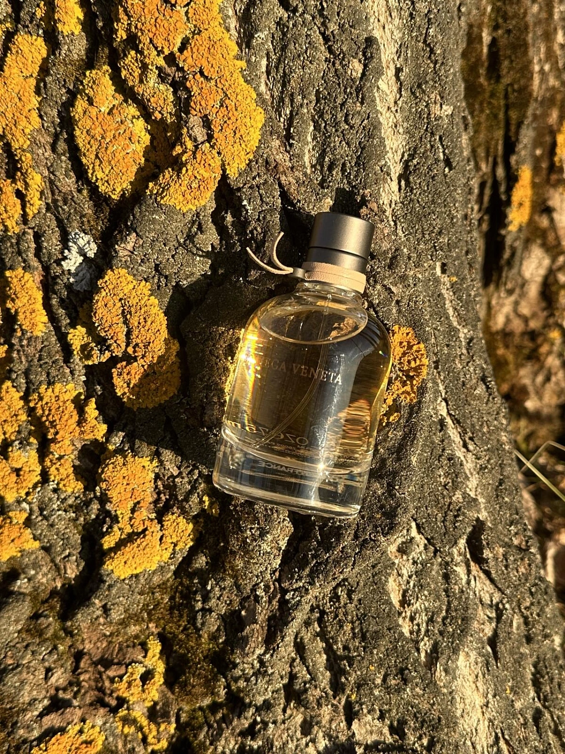 Bottega Veneta