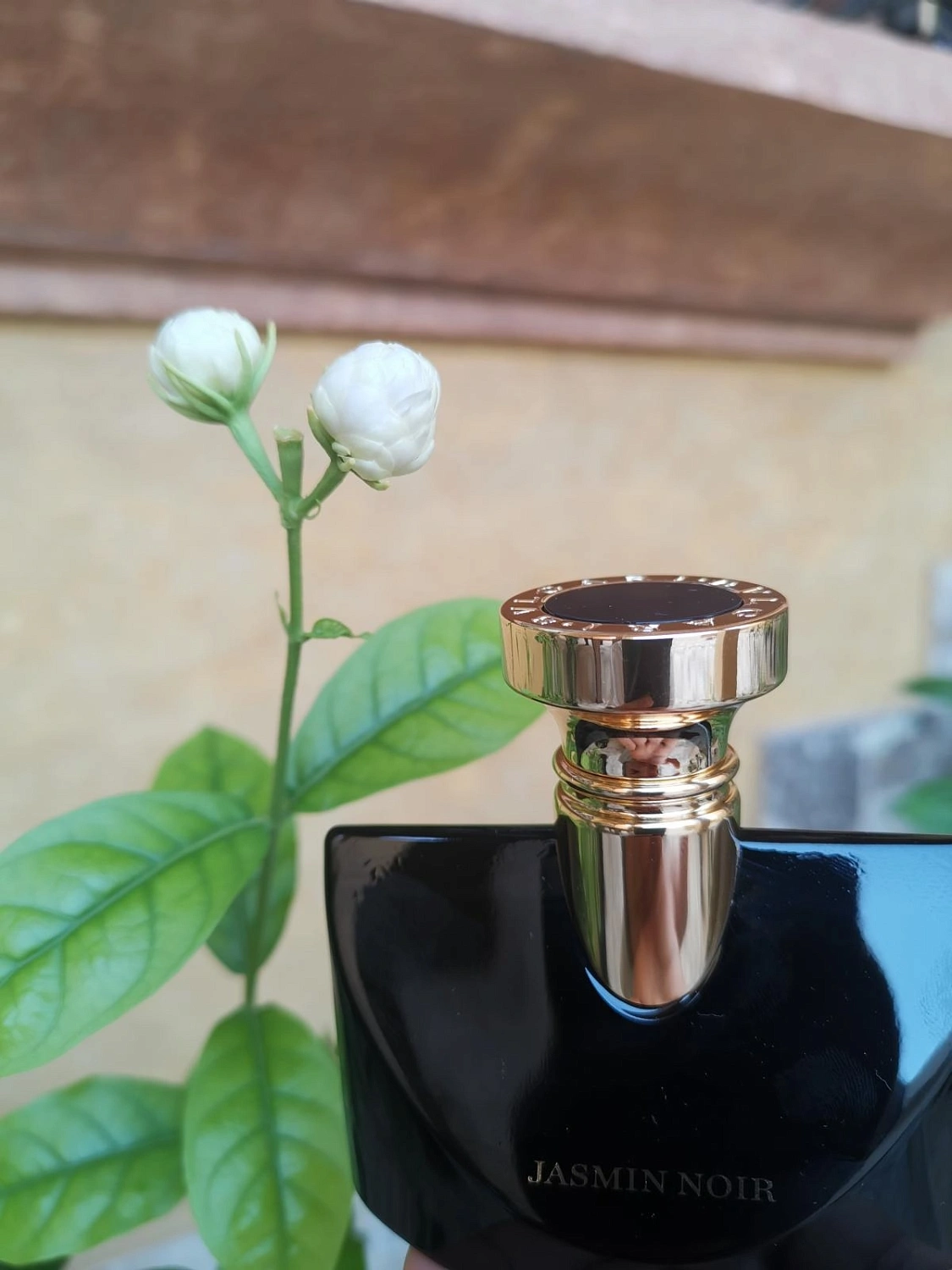 Bvlgari Jasmin Noir