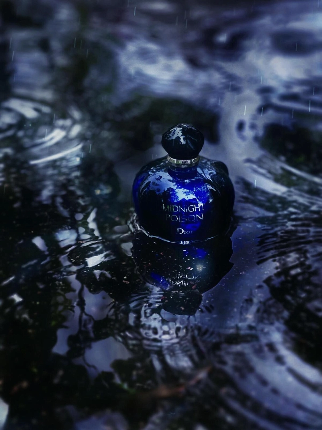 Christian Dior Poison Midnight