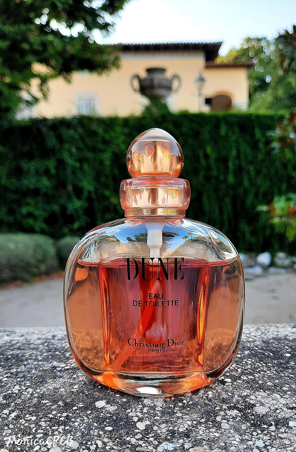 Christian Dior Dune