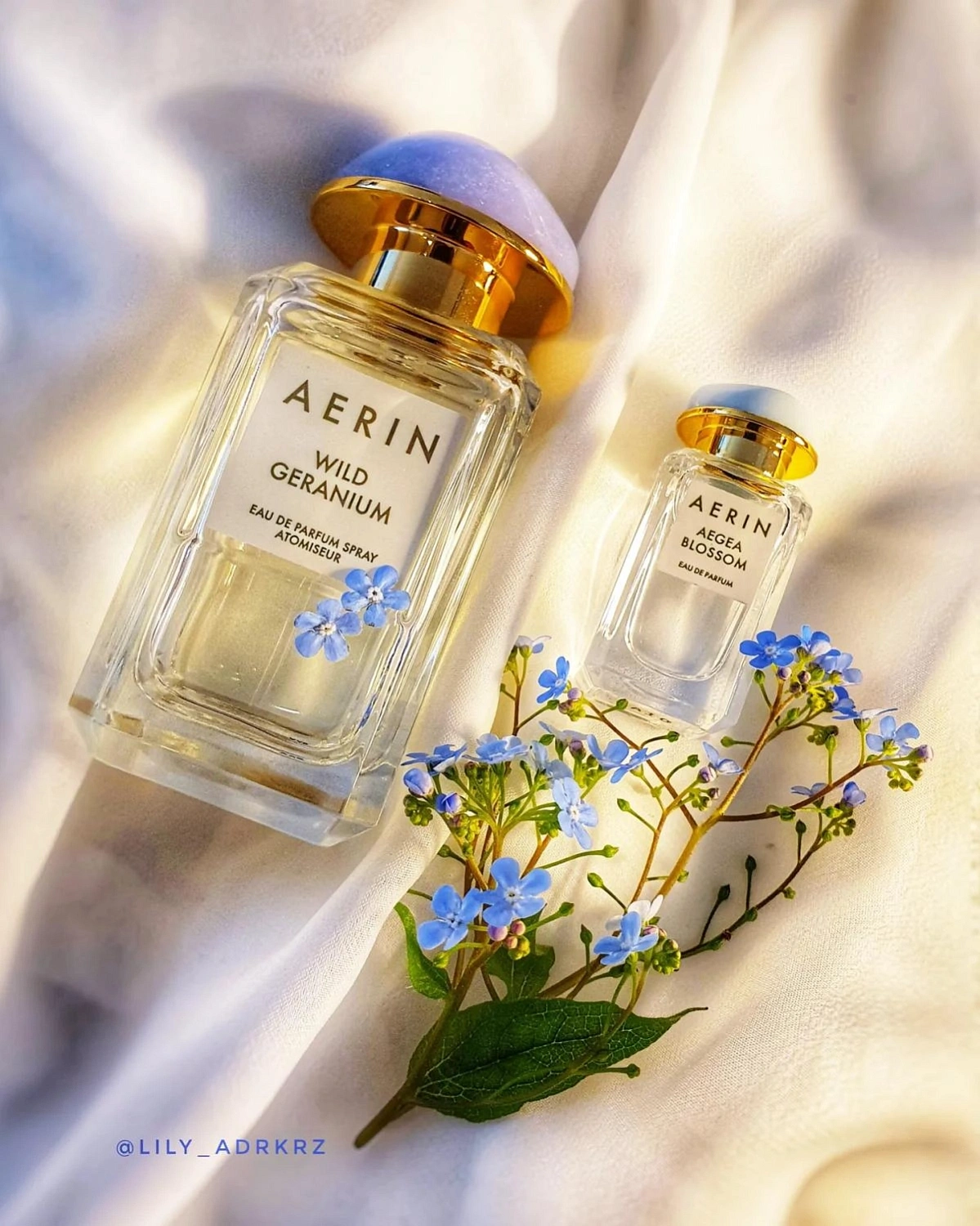 AERIN Wild Geranium