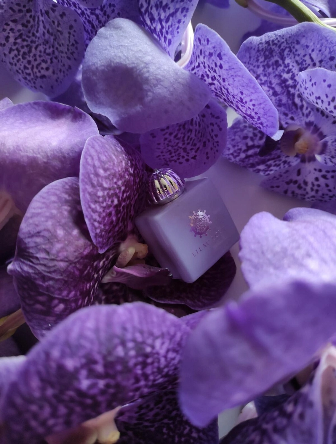 Amouage Lilac Love