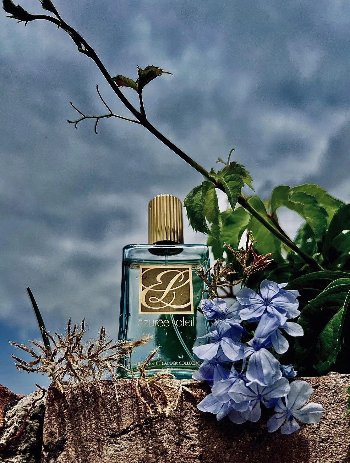 Estée Lauder Azuree Soleil