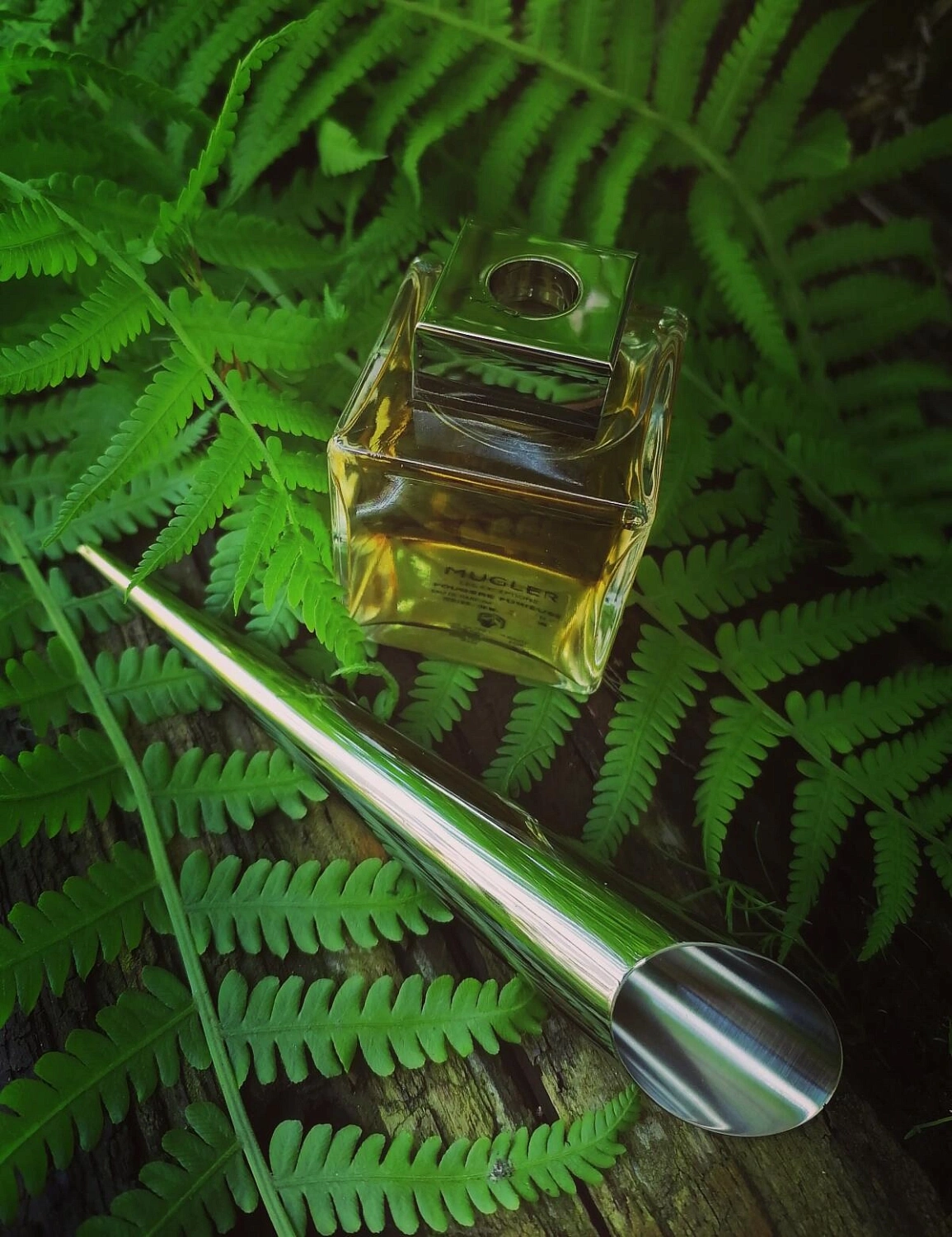 Mugler Fougere Furieuse