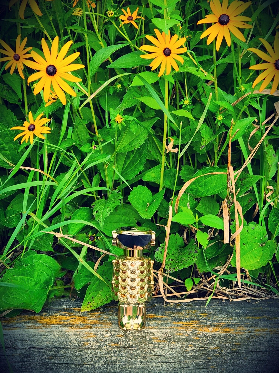 Paco Rabanne Fame Intense